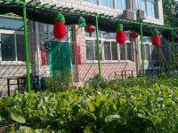 湿地公园绿墅缘农家院-北京顺义汉石桥湿地农家乐